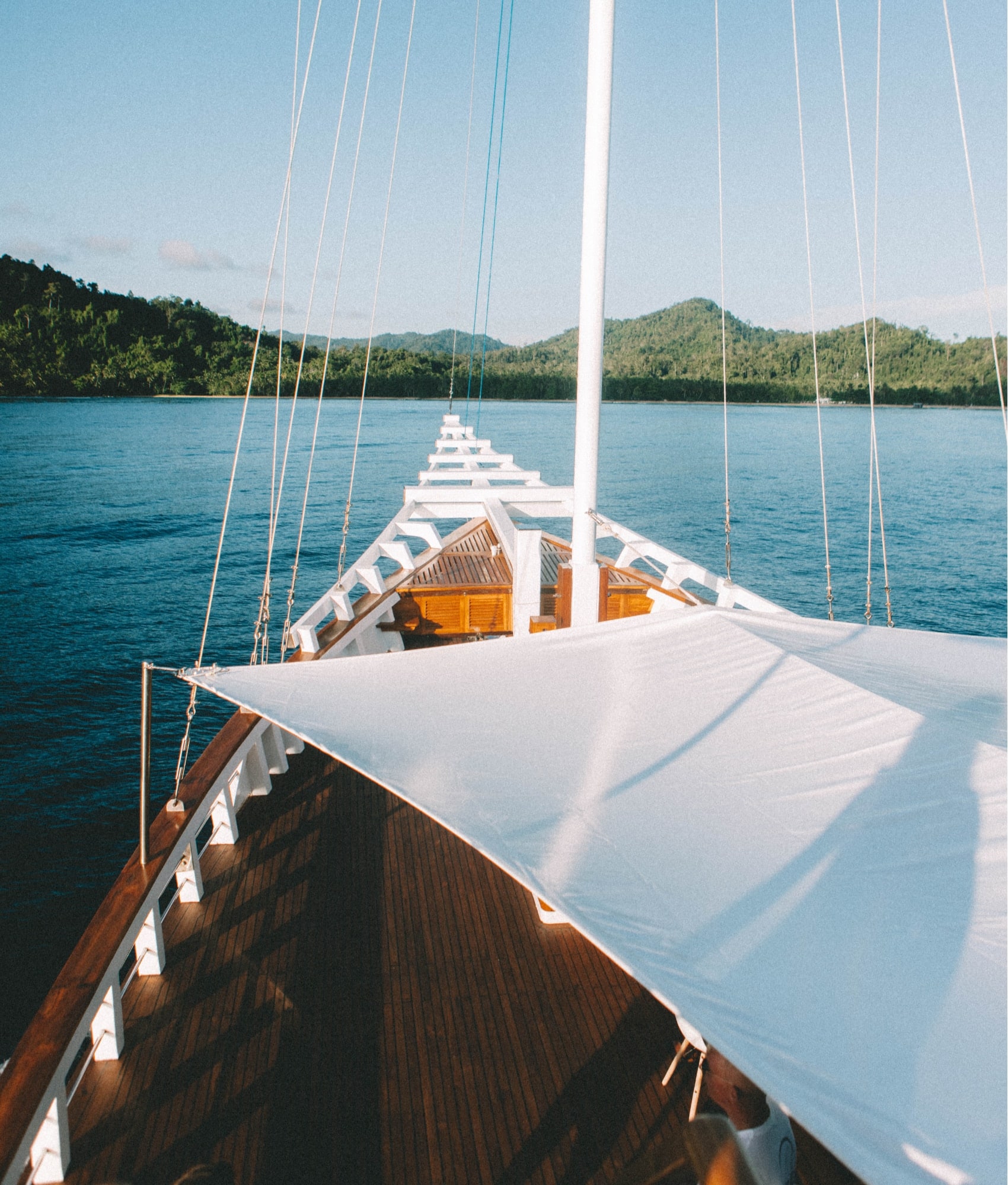 Fenides 5