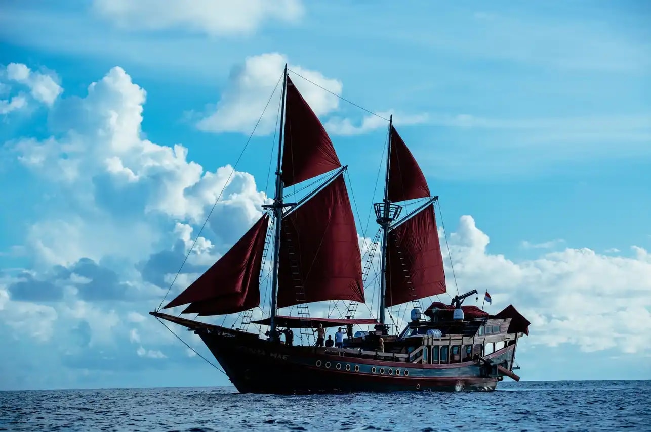 Manta Mae 1