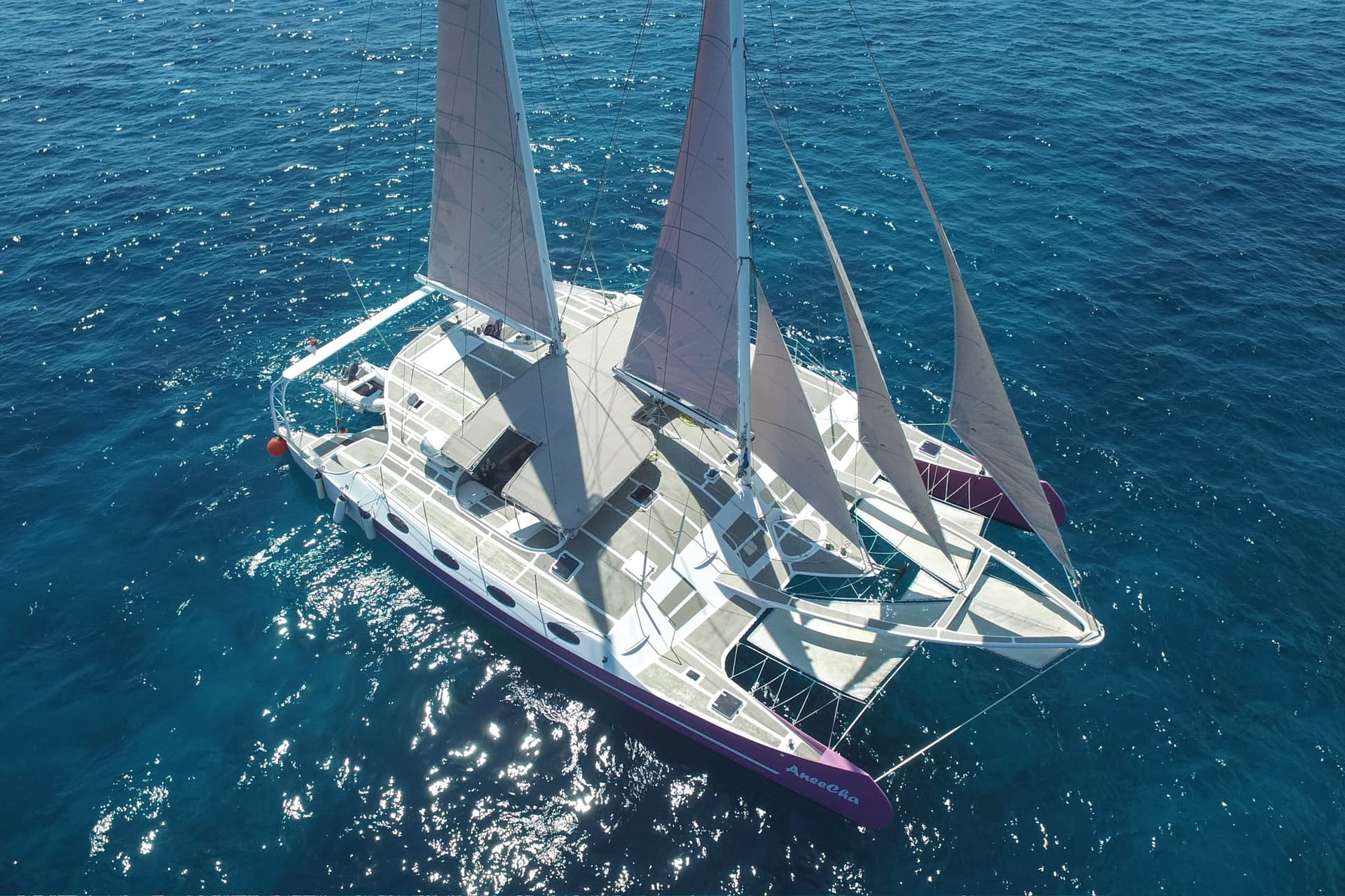 Catamaran 79