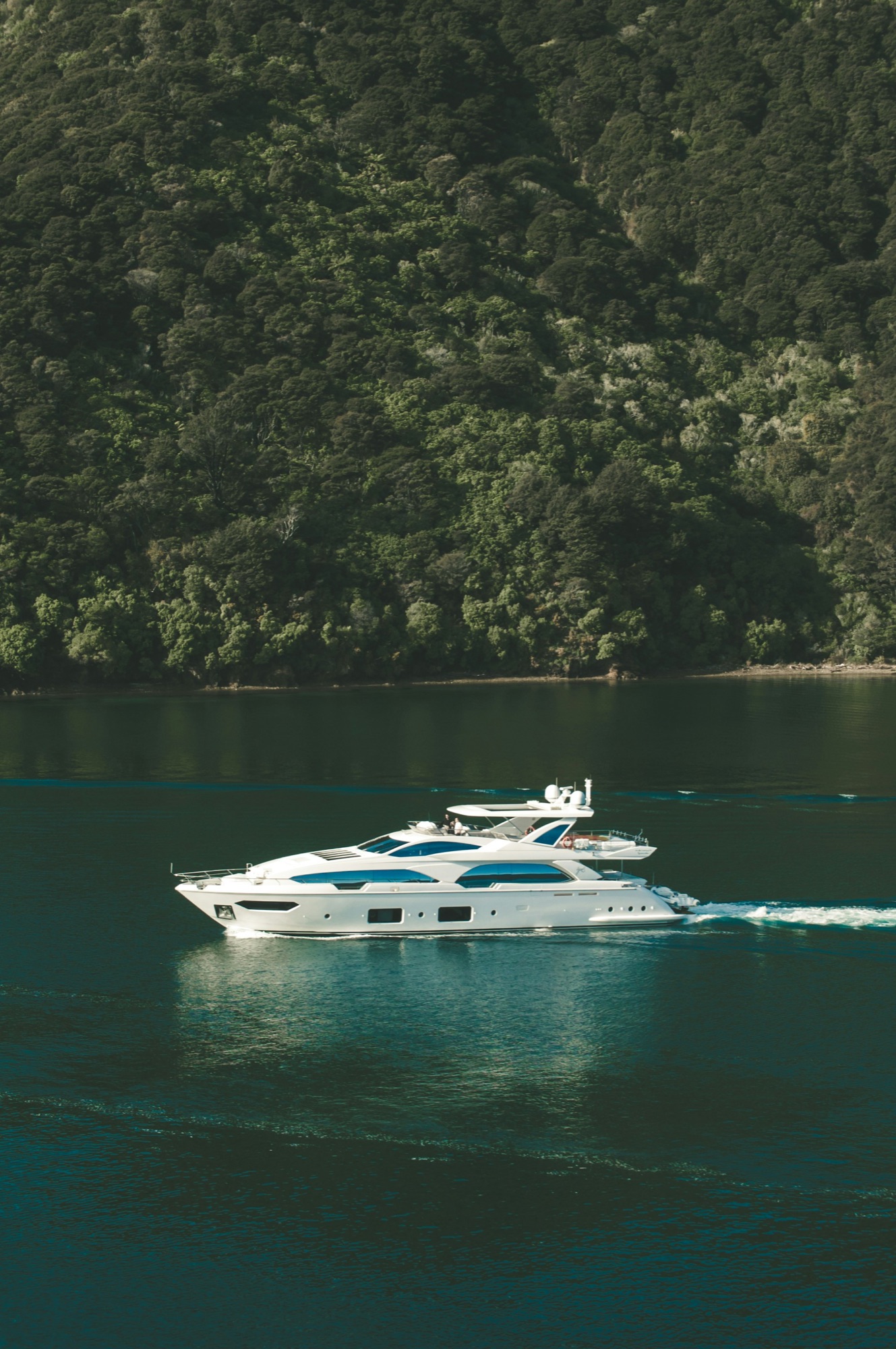 A motor yacht under way along a forested coastline